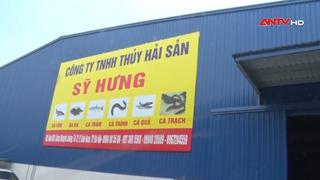 Triệt phá đường dây buôn lậu hàng hóa trị giá gần 1000 tỷ đồng