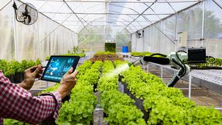 Hướng tới nền nông nghiệp xanh và hiện đại