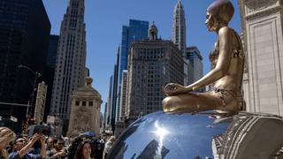 Triển lãm điêu khắc siêu thực ngoài trời tại Chicago, Mỹ