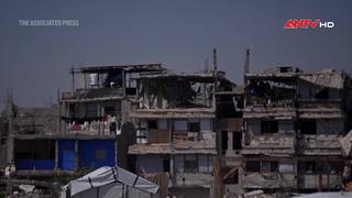 Phản ứng quốc tế về lộ trình hòa bình 15 điểm tại Dải Gaza