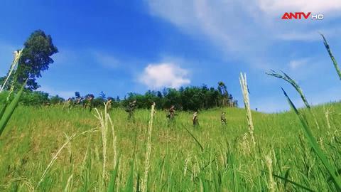 Gạch nối lịch sử