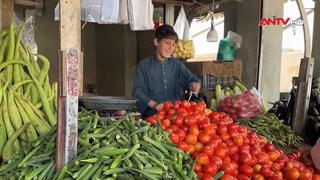 Afghanistan đối mặt với khủng hoảng dinh dưỡng nghiêm trọng