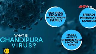 Ấn Độ tăng cường ứng phó dịch bệnh do virus Chandipura