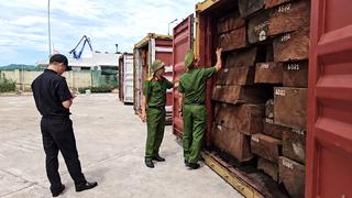 Khởi tố vụ 1,2 tấn ngà voi được giấu tinh vi trong các container gỗ