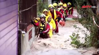 Cảnh báo dịch sốt xuất huyết do El Nino và biến thể virus mới