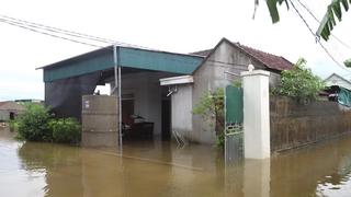 Mưa lớn, vùng trũng Diễn Châu ngập nặng