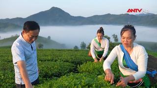 Khi Bí thư xã là đại sứ du lịch