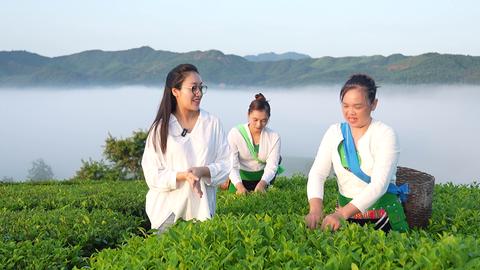 Sống cùng di sản