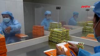 Y học Tây Tạng kết hợp công nghệ hiện đại