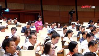 Tiếp thu ý kiến đại biểu, hoàn thiện dự thảo Bộ luật Hình sự (sửa đổi)