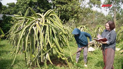 Lặng lẽ với văn chương