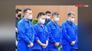 Cựu Thứ trưởng Nguyễn Bá Hoan lĩnh án 12 năm tù