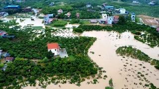 Mưa lũ gây thiệt hại lớn cho sản xuất nông nghiệp