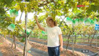 Xây dựng nông thôn mới từ những mô hình sản xuất hiệu quả