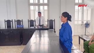 Giám đốc show "Về đây bốn cánh chim trời" bị tuyên phạt 2 năm tù