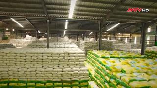 Xuất khẩu gạo đạt 2,91 tỷ USD, giá bắt đầu phục hồi