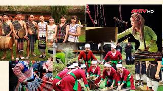 Trải nghiệm một "Việt Nam thu nhỏ"