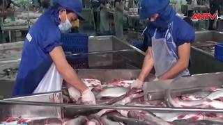8 tháng, xuất khẩu nông, lâm, thủy sản đạt gần 49,31 tỷ USD