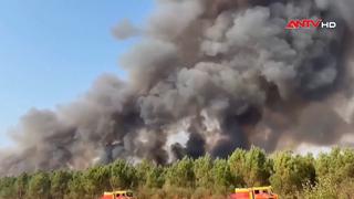 WMO: Cháy rừng, nắng nóng đe dọa chất lượng không khí