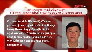 Đề nghị truy tố vắng mặt Chủ tịch HĐQT Tổng Công ty Cây xanh Công Minh