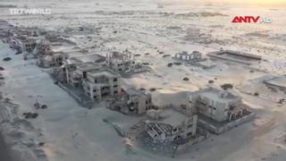Số người thiệt mạng trong cuộc xung đột ở Yemen tăng cao