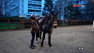 Câu lạc bộ ngựa thắp lên niềm tin cho trẻ em có hoàn cảnh khó khăn 