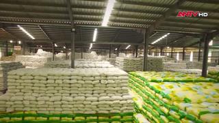 Quy định về nhập, xuất hàng dự trữ quốc gia