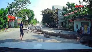 Cưa cây đổ ra đường, đè chết người đi xe máy