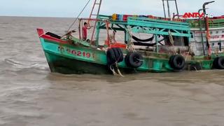 Xử lý tàu vận chuyển trái phép xăng dầu và vi phạm quy định IUU