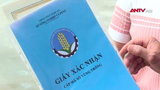 Cần chủ đất đồng ý khi đề nghị cấp mã số vùng trồng