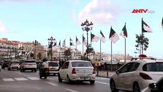 Algeria cắt quan hệ ngoại giao với UAE
