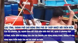 Đề nghị các địa phương chủ động ứng phó áp thấp nhiệt đới trên biển