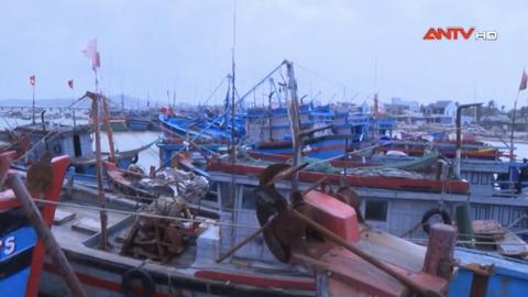 Kinh tế tiêu dùng ngày 13/9/2026