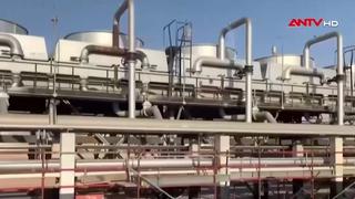  Khủng hoảng giá dầu tác động lên nông nghiệp Mỹ