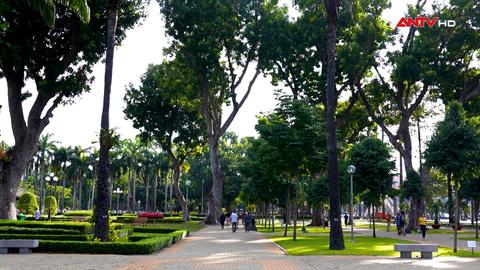 Những mảng xanh giữ nhịp đập vững bền