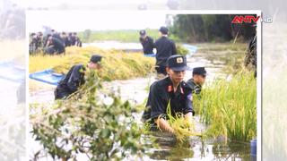 Điểm tựa bình yên trong thiên tai, bão lũ