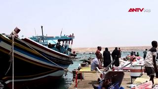  Gần 94.000 người Yemen phải rời bỏ nhà cửa vì giao tranh