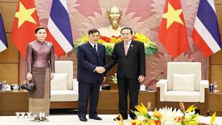 Chủ tịch Quốc hội Trần Thanh Mẫn hội kiến Nhà Vua Thái Lan