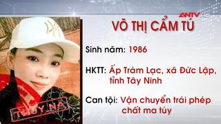 Truy nã 2 đối tượng về tội vận chuyển trái phép chất ma túy