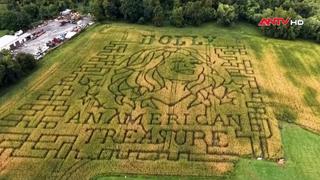 Mê cung ngô tưởng niệm Dolly Parton tại Mỹ và Canada