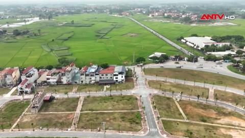 Kinh tế tiêu dùng ngày 19/9/2026