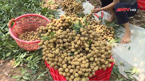 Kinh tế tiêu dùng ngày 20/9/2026