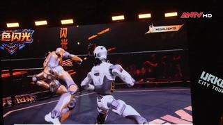 Robot hình người tranh tài đối kháng 