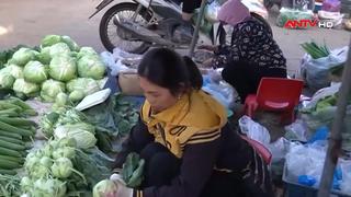 Giá rau xanh ở Hà Nội tăng vọt sau mưa lớn kéo dài