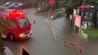 Bão Dujuan áp sát Tokyo, hơn 1,6 triệu người được khuyến cáo sơ tán