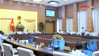 Tiếp tục nghiên cứu các nội dung phân loại dự án và đánh giá tác động môi trường