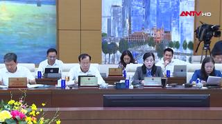 Cho ý kiến dự án Luật Xử lý vi phạm hành chính (sửa đổi)