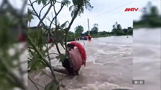 Giải cứu người đàn ông bám cành cây giữa dòng nước chảy xiết