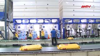 Chính phủ ban hành Nghị định về kinh doanh xuất, nhập khẩu gạo