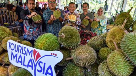 Malaysia tìm cách đưa sầu riêng thành loại trái cây được săn đón nhất